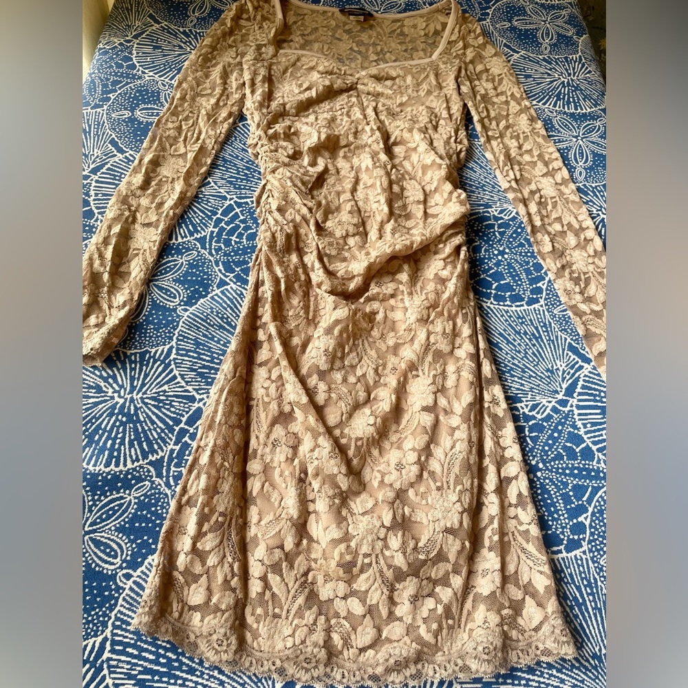 Lacey stretchy sexy dress